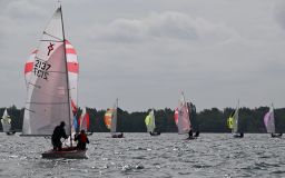 DSC_0350.jpg