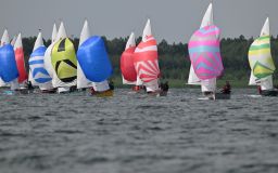 DSC_0368.jpg