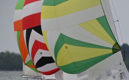 DSC_0452.jpg