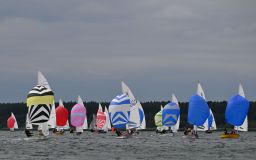 DSC_0095.jpg