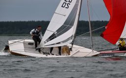 DSC_0113.jpg