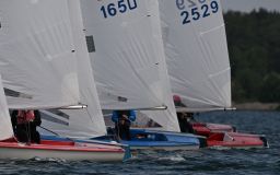 DSC_0298.jpg