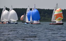 DSC_0665.jpg