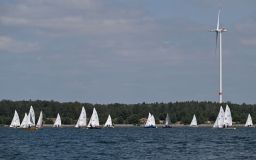 DSC_0602.jpg
